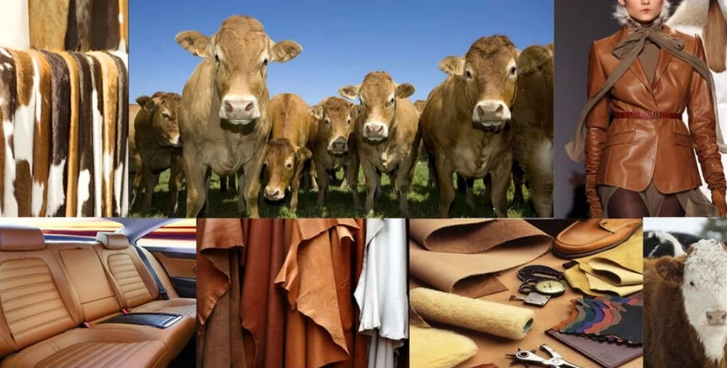 uses of natural leather and its impact on the environment