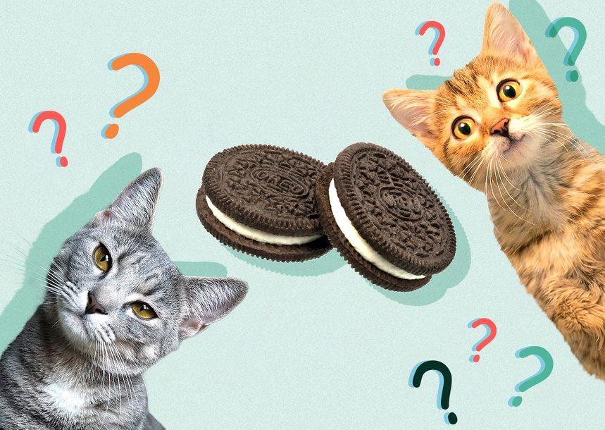 Can Cats Eat Oreos? What You Need to Know!