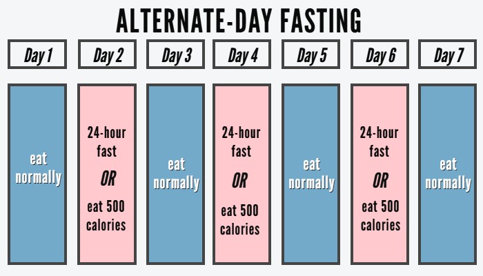 Alternate day fasting schedule